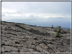 foto Parco nazionale Vulcani delle Hawaii